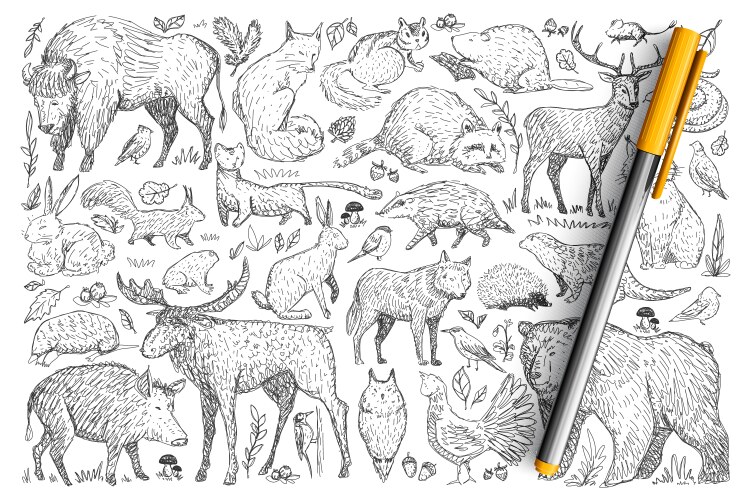 Forest Animal Doodle Set Vector Image