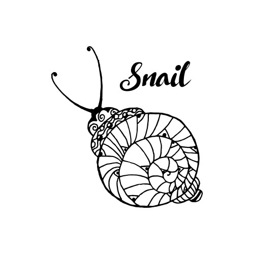 doodle style fun lacy snail monochrome animal vector image