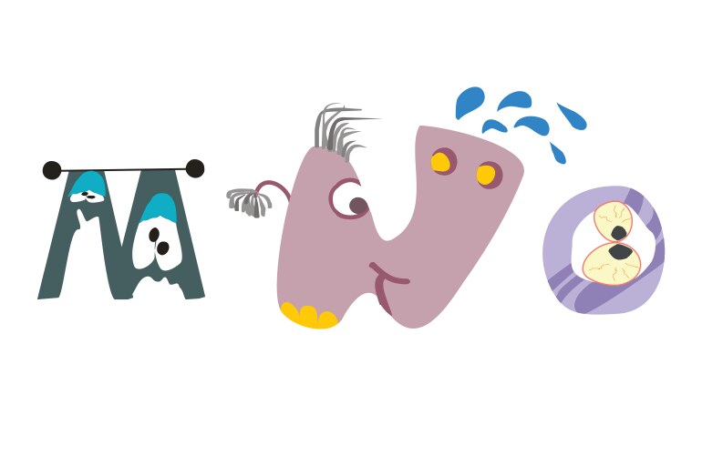 Alphabet Royalty Free Vector Image - VectorStock