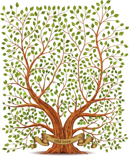 old vintage tree vector image