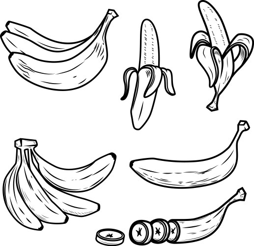 Set fresh banana icons design elements vector image