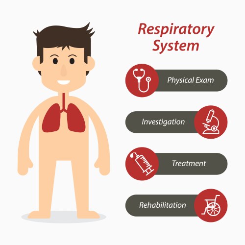 Respiratory system and medical line icon vector image