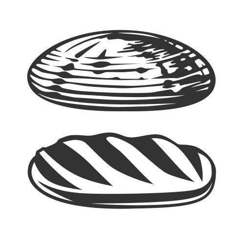 loaf bread vector image