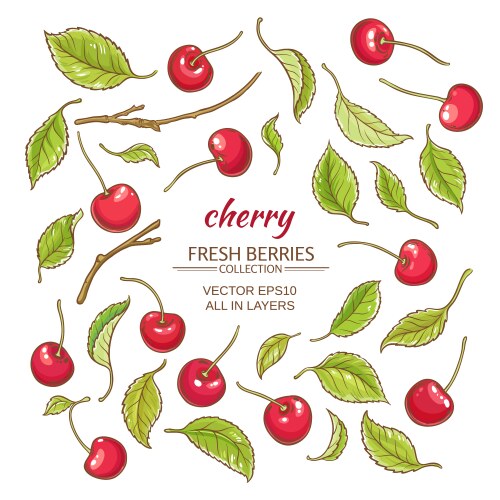 Raspberry set Royalty Free Vector Image - VectorStock