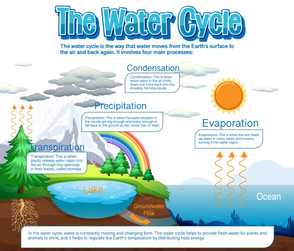 Water cycle black and white Royalty Free Vector Image