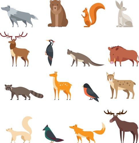 Forest Animals Cartoon Set Vector Image