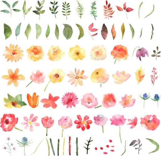 Watercolor Floral Set - Leaf & Flower Collection Vector Image
