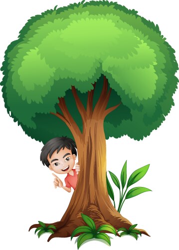 a boy and tree vector image