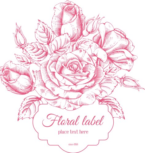 Peonies Royalty Free Vector Image - VectorStock