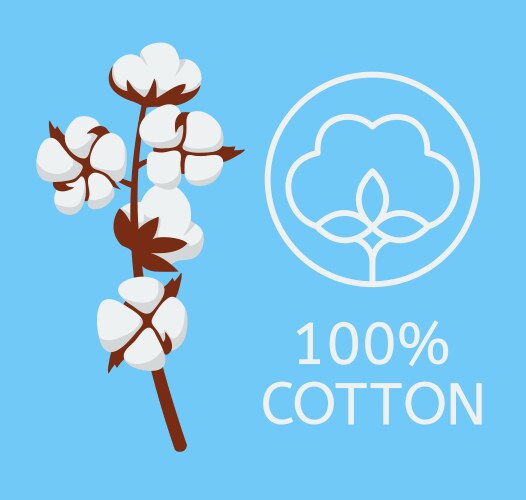 Cotton flower plant vector image