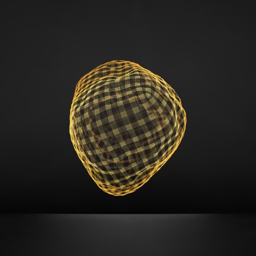 Wireframe object with lines and dots abstract 3d vector image