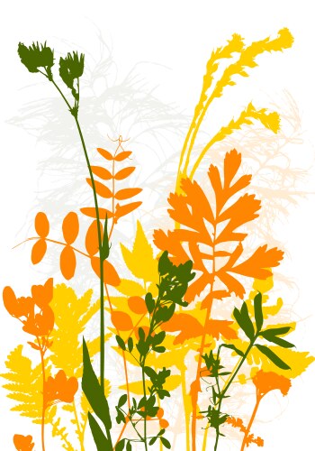 Botanical Leaves and Plants Silhouettes Vector Image