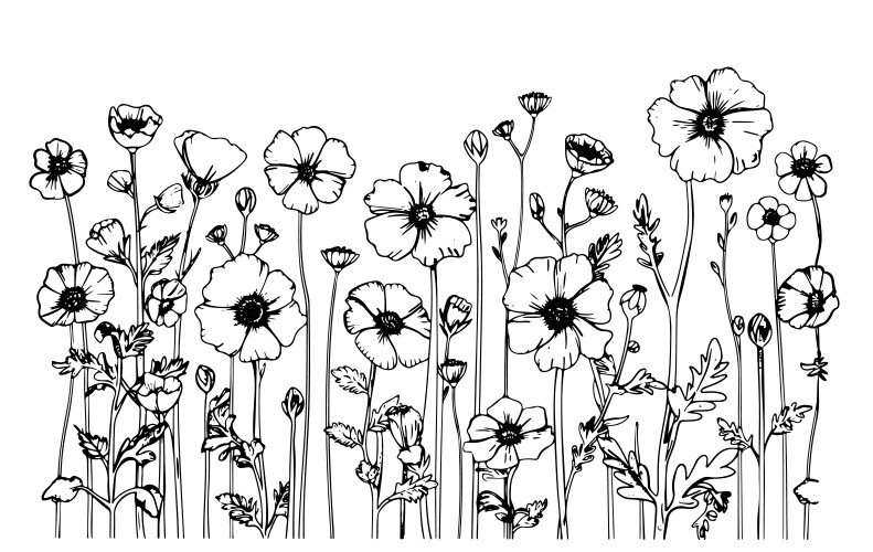 Wildflower Sketch Set - Realistic Style Vector Image