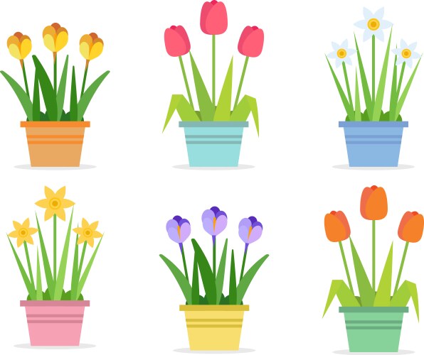 Early spring forest and garden flowers isolated Vector Image