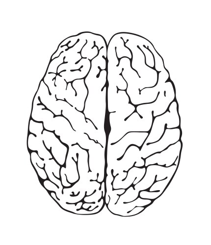 Black and white human brain in top view Royalty Free Vector