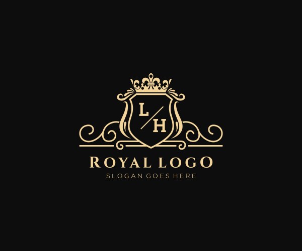 Sd letter initial with lion royal logo template Vector Image