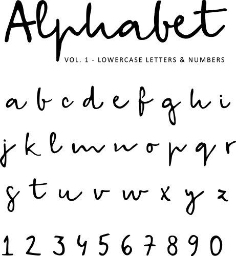 Hand drawn alphabet font isolated lower vector image