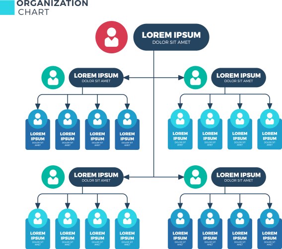 business structure of organization vector image