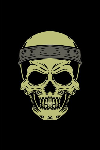 Human skull with bandana Vector Image