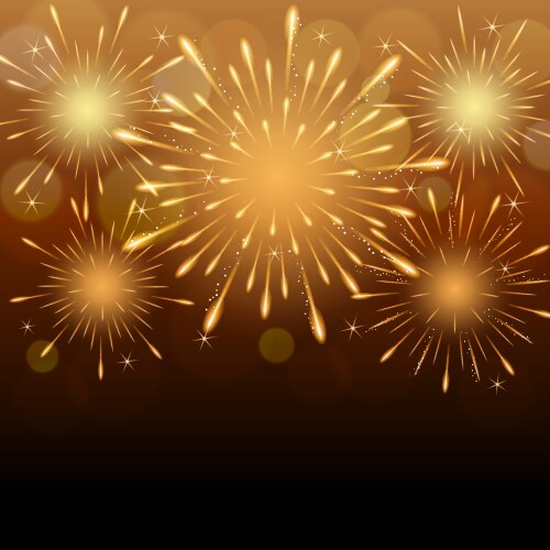 Fireworks city background Royalty Free Vector Image