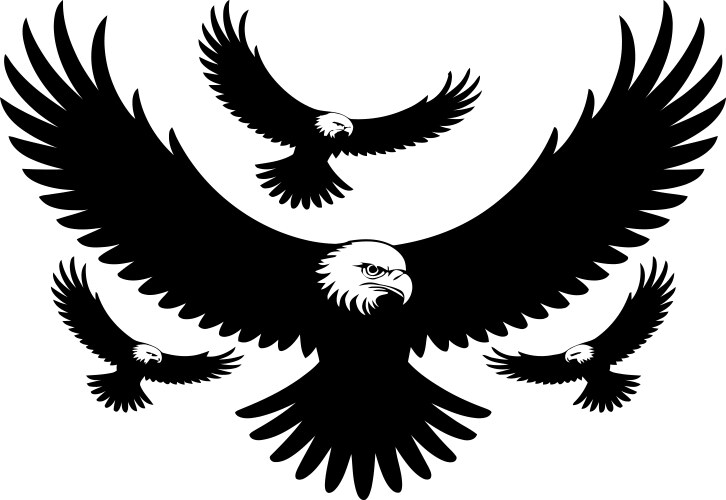 Eagles in flight silhouette isolated on white Vector Image