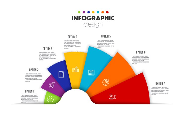 infographic semi circle small to large template vector