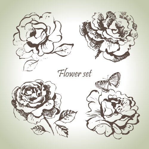 Hand drawn rose flowers and buds Royalty Free Vector Image