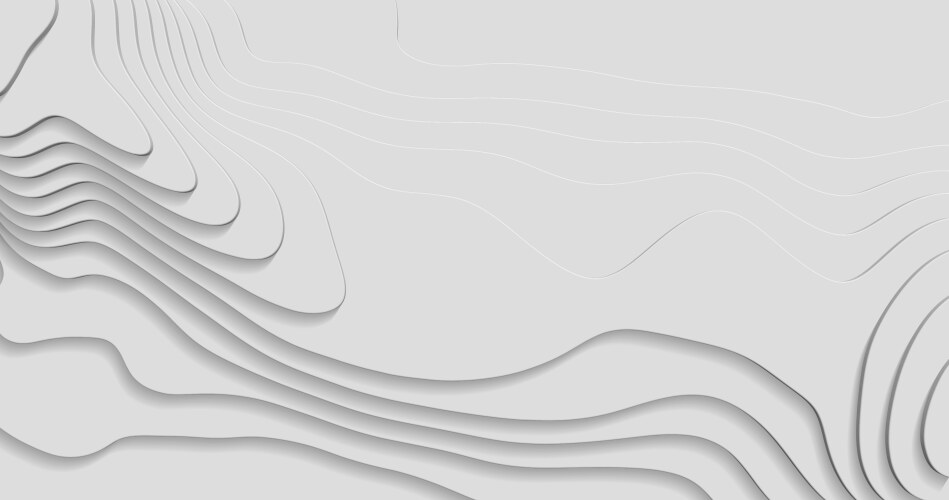 White wave paper curved reliefs abstract Vector Image
