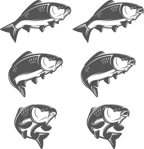 Carp Vector Images & Graphics for Commercial Use | VectorStock