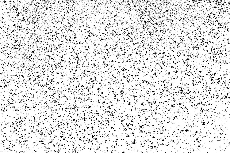 black grainy texture isolated on white vector image