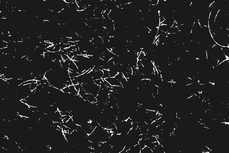 White grainy texture isolated on black background vector image