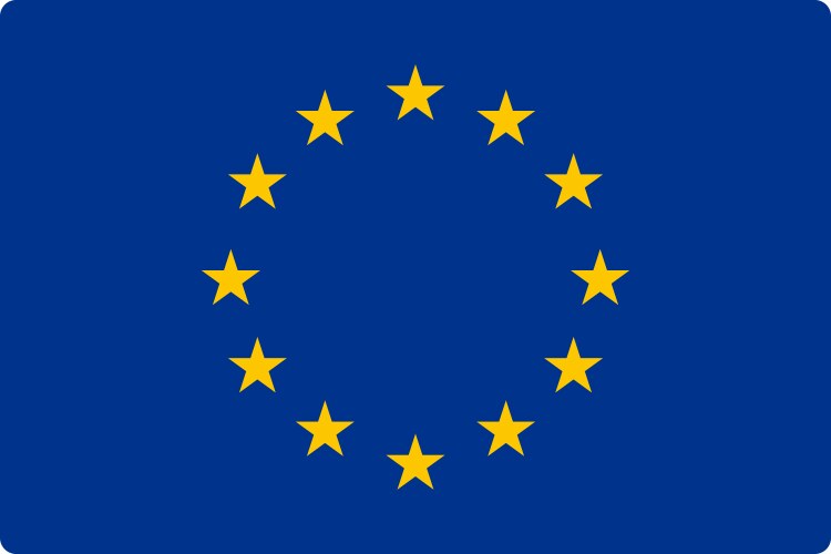 European Union Flag Vector Image