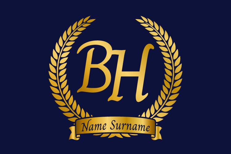 Initial letter b and s bs monogram logo design Vector Image