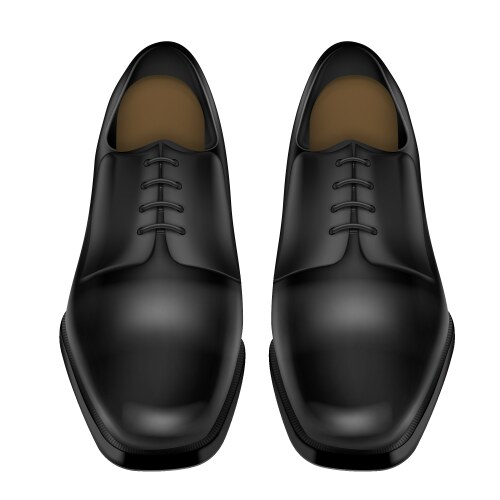 black pair of leather shoes vector