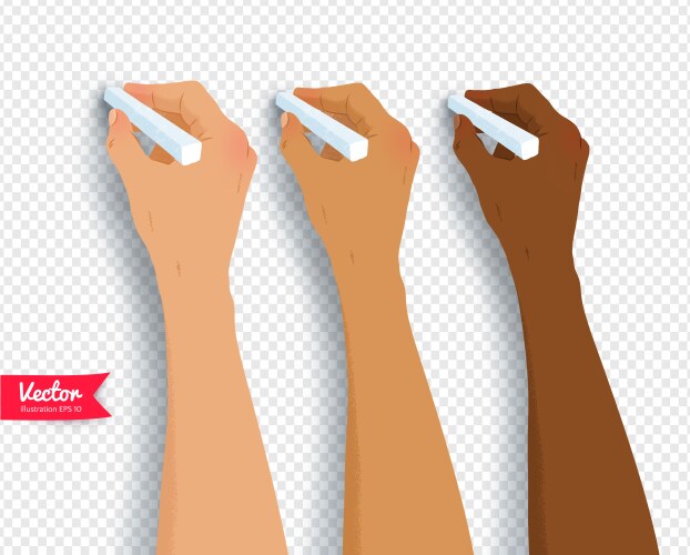 Female hand drawing with chalk Royalty Free Vector Image
