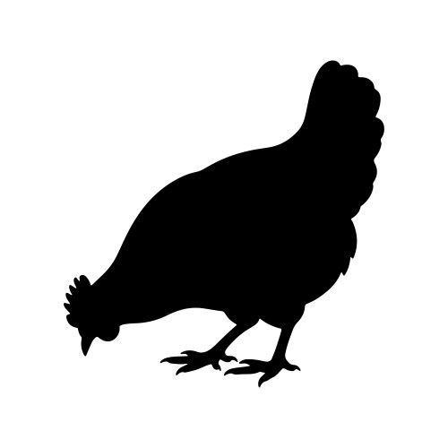 Chicken silhouette or hen grazing side Vector Image