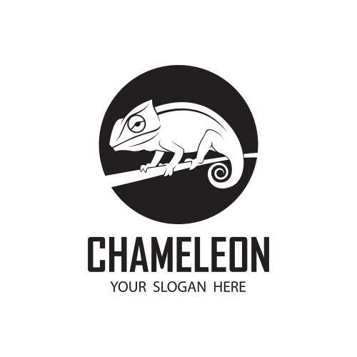 Chameleon reptile icon vector image