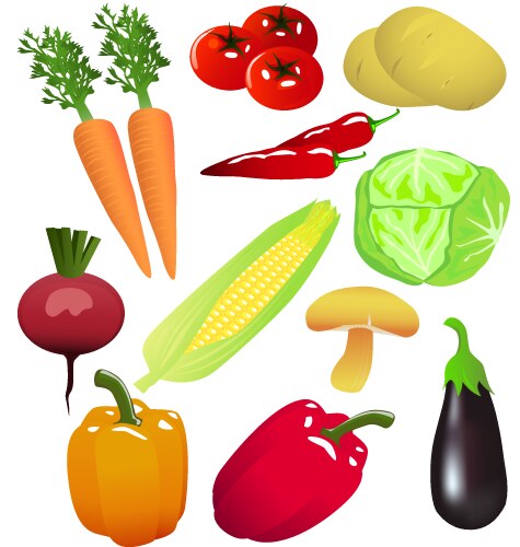 Variety Vector Fresh Vegetable Variety – Royalty-Free Vector | VectorStock