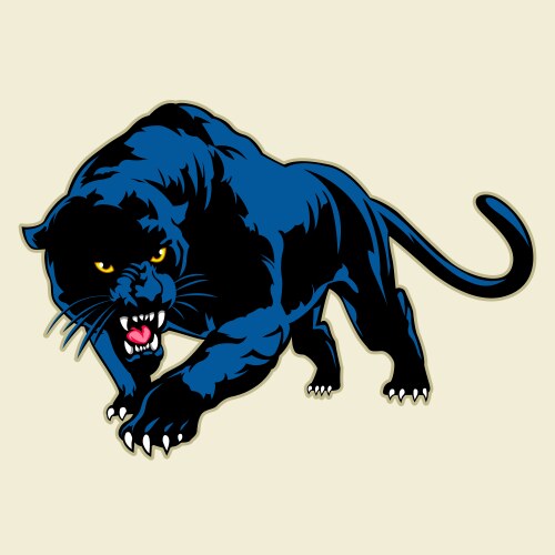 black panther vector image vector image