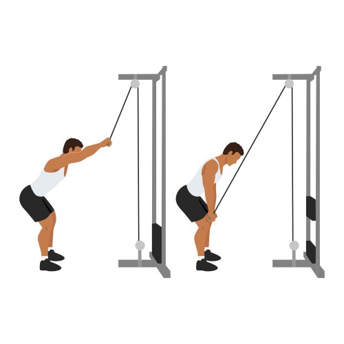 Man doing cable triceps kickbacks exercise Vector Image