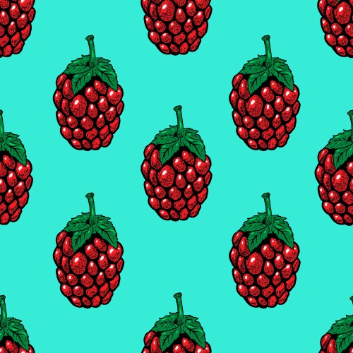 Seamless pattern with raspberries design element vector image