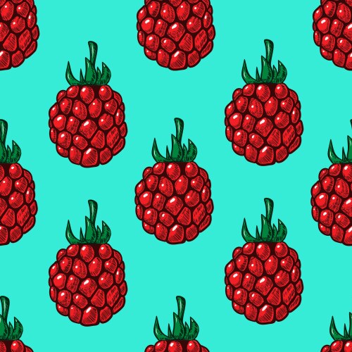 Seamless pattern with raspberries design element vector image