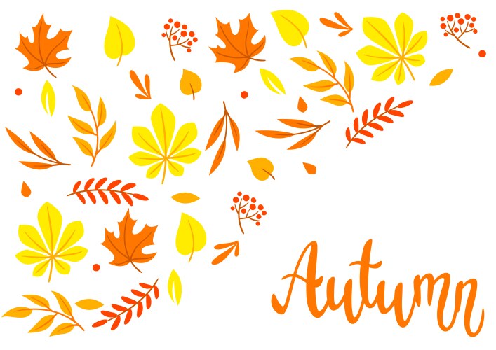 Background with autumn leaves beautiful Vector Image