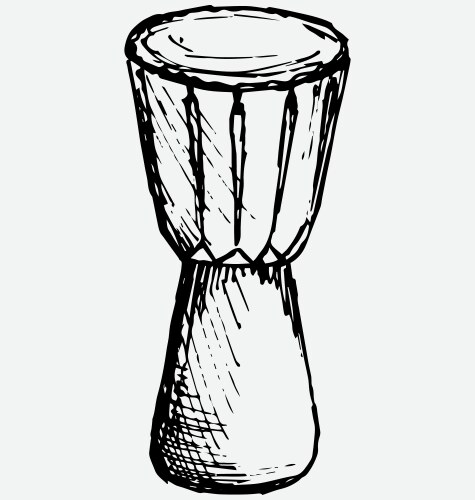Djembe african drum percussion musical instrument Vector Image