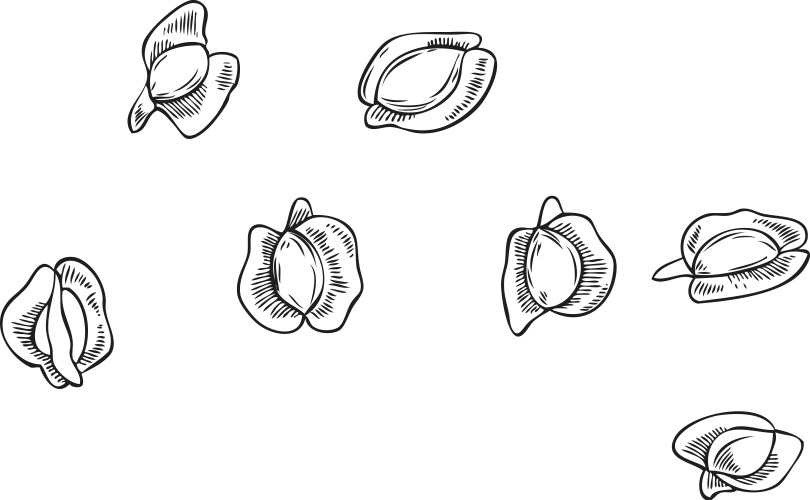 Monochrome sketch (56345258) – Royalty-Free Vector | VectorStock