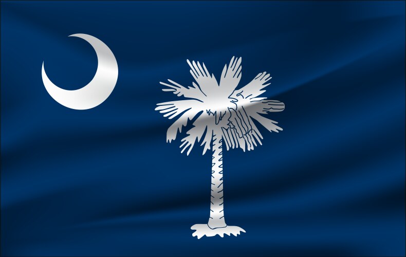 South Carolina Flag - Waving Vector Image