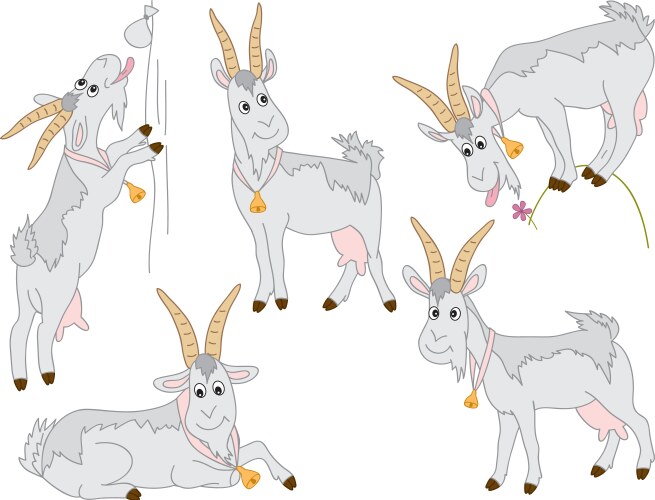 A family of goats stands on white background Vector Image