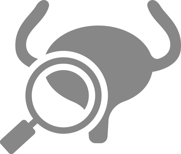 Urinary bladder with magnifying glass gray icon vector image