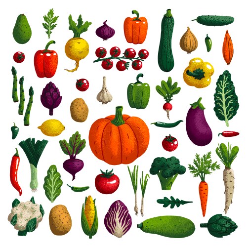 vegetables set variety decorative vector