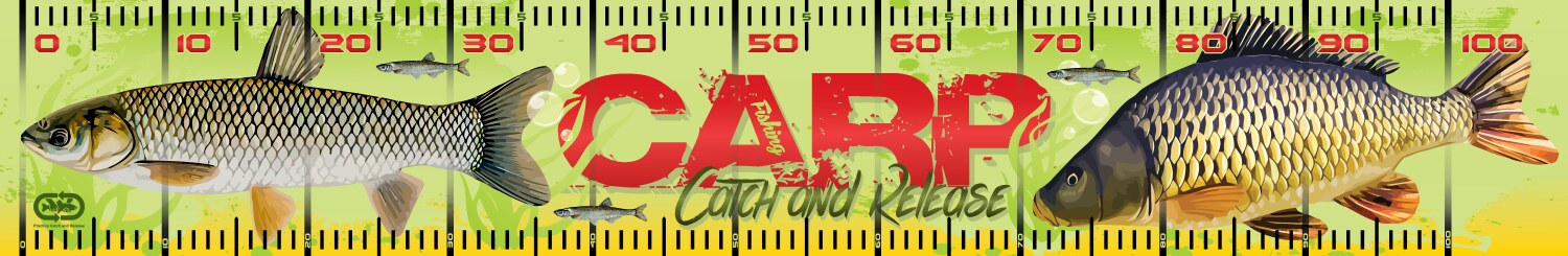 Fishing Ruler Vector Images (over 440)